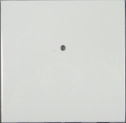 Efapel Logus90 klawisz do łącznika wsb2-20/g biały 99601 TGE