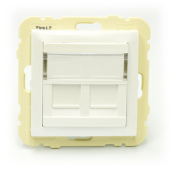 Efapel Logus90 element centralny do gniazda telefonicznego/komputerowego lodowy 90442 SGE